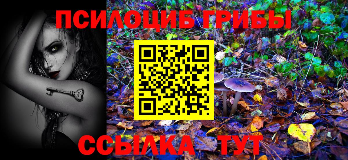 Псилоцибиновые грибы ЛСД Сибай